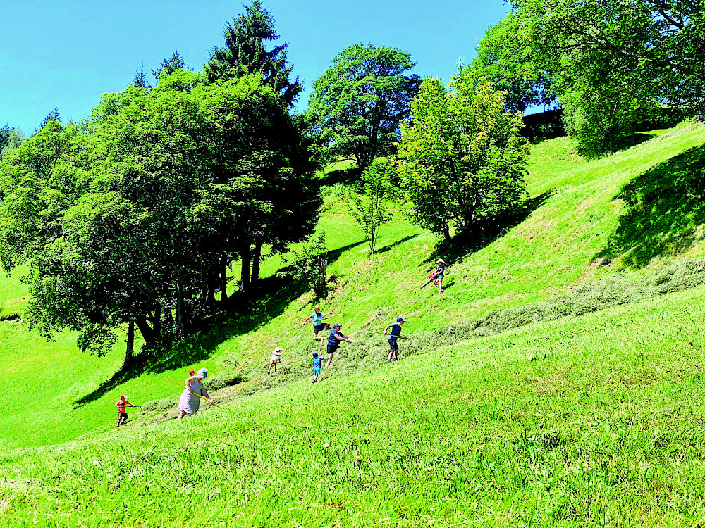 Die „Aktion Heugabel“ unterstützt Landwirt:innen ehrenamtlich. © Gerhard Fruhauf
